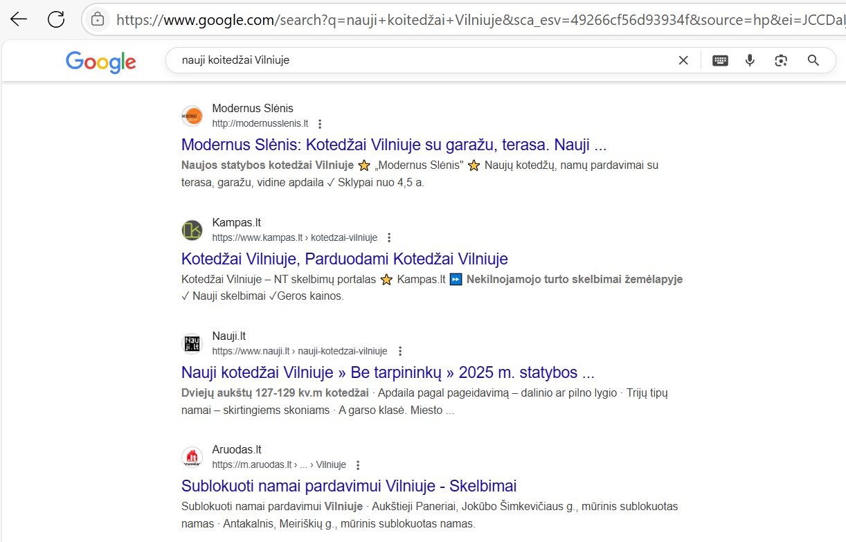 SEO paslaugų rezultatai