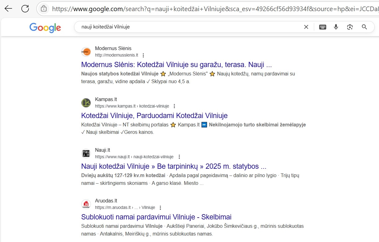 SEO paslaugų rezultatai